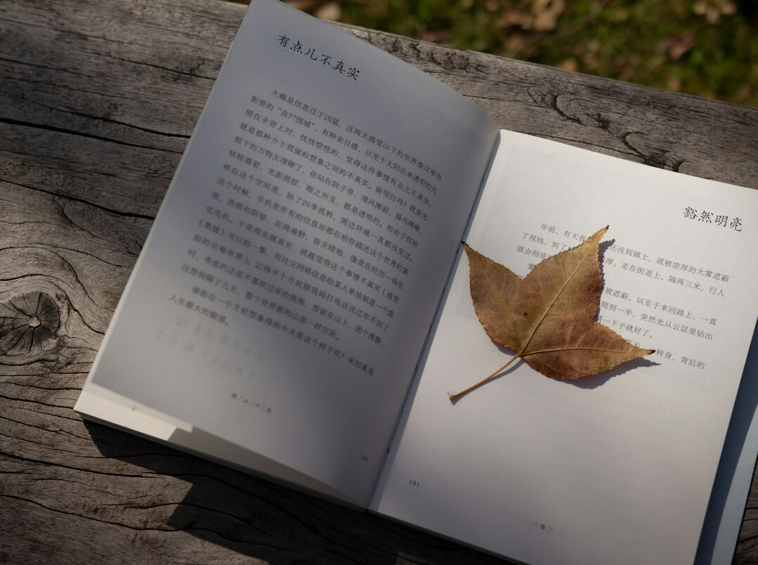 Hardcover book resting on a wooden surface