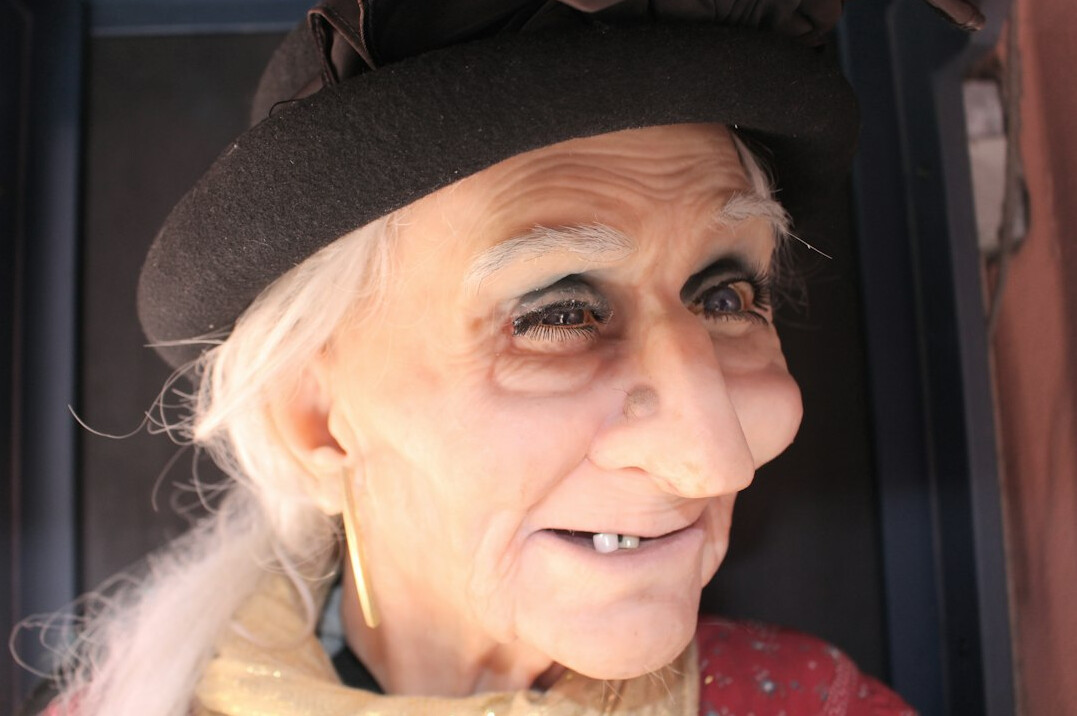 thief in grandma disguise